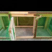 گل و گیاه طبیعی خوب مفت 1100