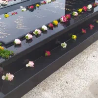 سنگ مزار و سنگ قبر تخصصی مشکی و جگوار