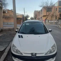 ۲۰۶ پاناروما تیپ۳