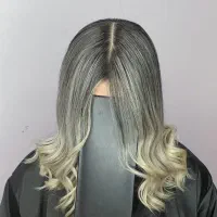 رنگ ولایت حرفه ای