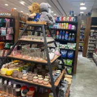 استخدام نیرو جهت قسمت پروتین