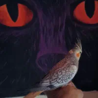 ۱۰ عدد عروس دستی و رام