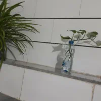 چراغ پراید
