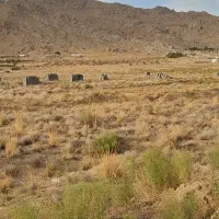 زمین باغ نیر