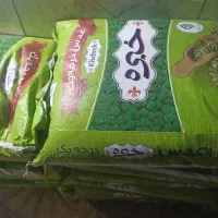 عدس درجه ۱عمده