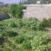 فروش زمین مسگونی