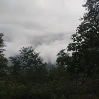 زمین باغی مناسب سرمایه گذاری