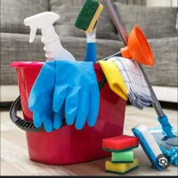 نظافت منازل. پله. اسانسور.