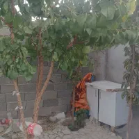 چهاردیواری-تجاری380متربلوارخلیج-فارس-ملک-آباد