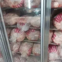 تامین کننده مرغ عمده