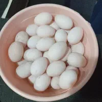 تخم اردک محلی