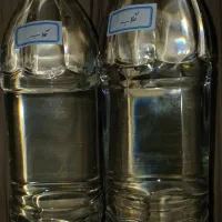 نعناع،گلاب