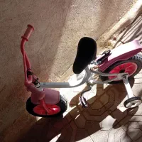 یک عدد دوچرخه