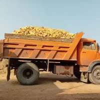 ماسه