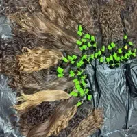 خریدوفروش اصلی وبدون واسطه موی طبیعی رنگی بور و...