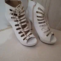 صندل،مجلسی