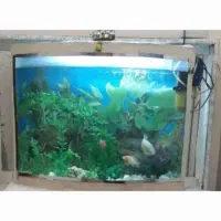 اکواریوم شیشه خم