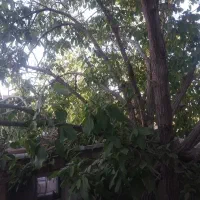 خانه-و-اتاق-اجاره-ای