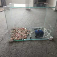 آکواریوم