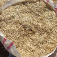 کاه دیم درجه یک تحولی