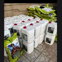 هیومیک اسید خرمشهر رفع زردی و ریشه زایی شلتوک