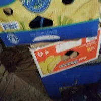 سبد