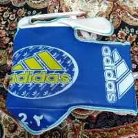 هوگو کاراته