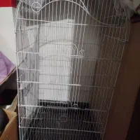 قفس 1033