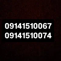 09141510067