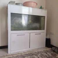 آکواریوم