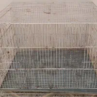 قفس پرنده . لانه عروس وگرینچیک