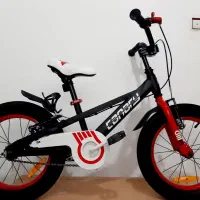 دوچرخه قناری ۱۶ در حد