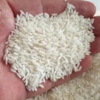 برنج سوناماسوری