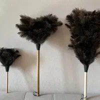گردگیر پر شترمرغ