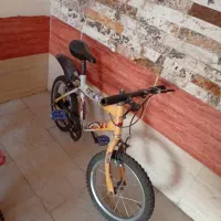 اسکیت،دوچرخه
