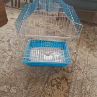 قفس پرنده