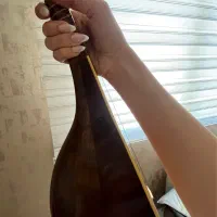 سه تار ذوالقدر یک مهر جنس چوب گردو به همراه کاور