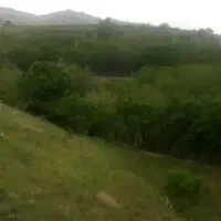 زمین ،رزجرد (کوچه رُز )