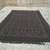 فرش  آنتیک دستبافت هریس