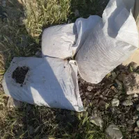 کود مرغی توکیسه