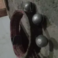 قلاده سگ