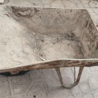 فرقون