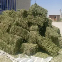 یونجه بسته بندی