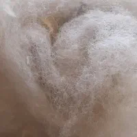 الیاف
