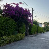 زمین ۶۰۰ متری سنددار امام رود چالوس