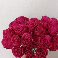 گل ربانی|گل مصنوعی|یزد, |دیوار