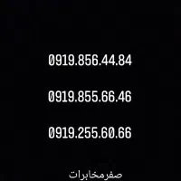 09192556066