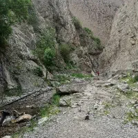 طبیعت گردی.. پیاده روی