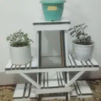 استندگل|گل و گیاه طبیعی|خواف, |دیوار