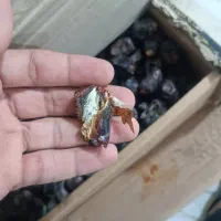 خرما|خوردنی و آشامیدنی|دلگان, |دیوار